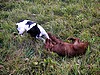 Na jednom z výletů jsme potkali milou kamarádku